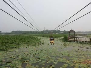 国家五A级景区河北白洋淀滑索